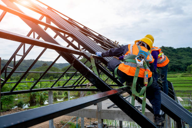 Best Commercial Roofing Services  in Lake Summerset, IL