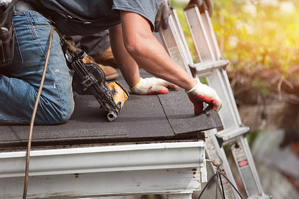 Best Roof Gutter Cleaning  in Lake Summerset, IL