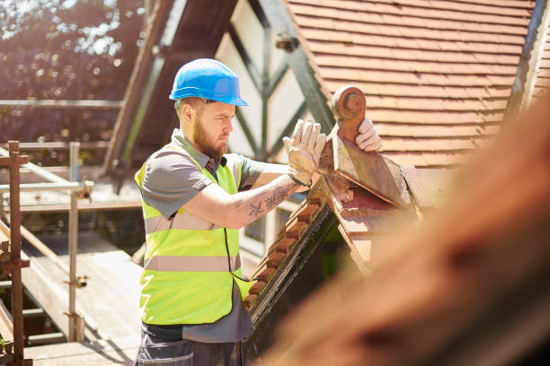 Roof Gutter Cleaning in Lake Summerset, IL